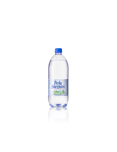 PERLA HARGHITEI Apa Minerala Carbogazoasa 6 x 1 L