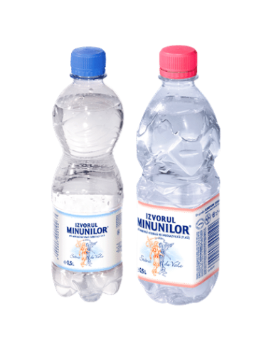 IZVORUL MINUNILOR Apa Plata 12 x 0,5 L