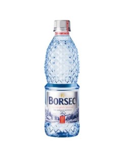 BORSEC Apa Minerala Necarbogazoasa 12 x 0,50 L